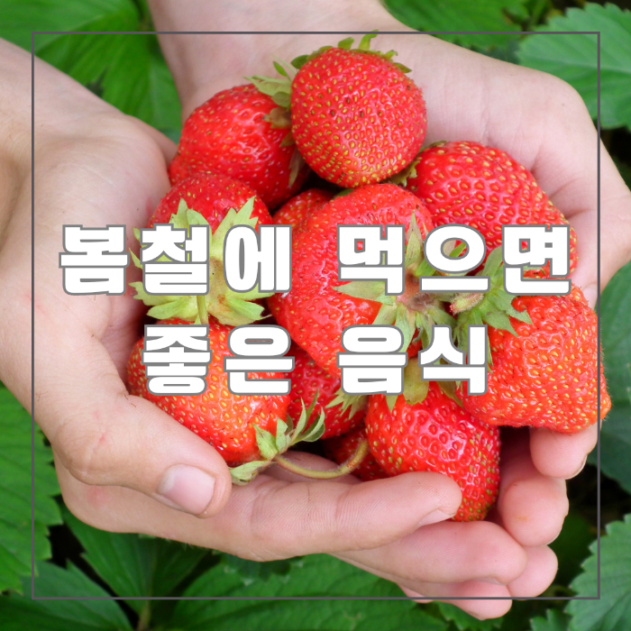 봄철에 먹으면 좋은 음식