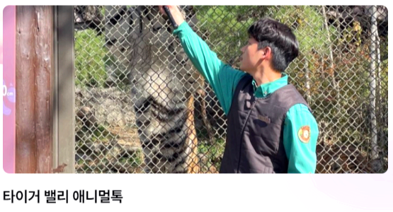 에버랜드
