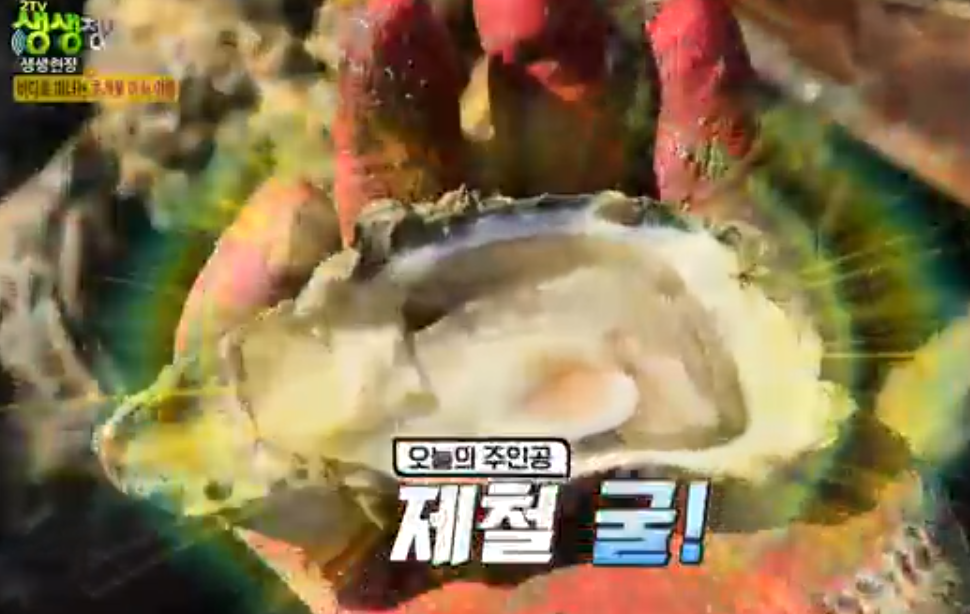 천북굴단지 정보 안내