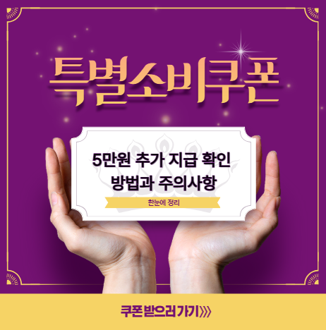 특별소비쿠폰 이미지