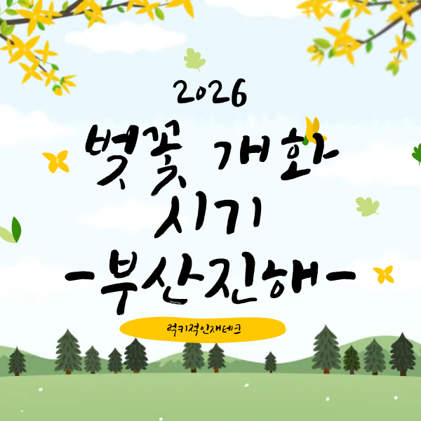 부산 진해 벚꽃 개화시기