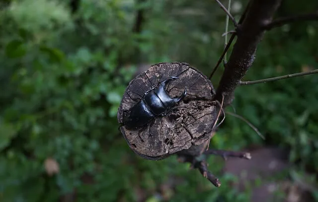기분 저하로 인식되는 반응을 장뇌축 기준으로 해석하는 방법