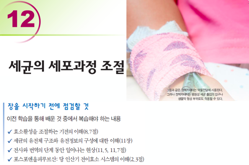 article thumbnail image
