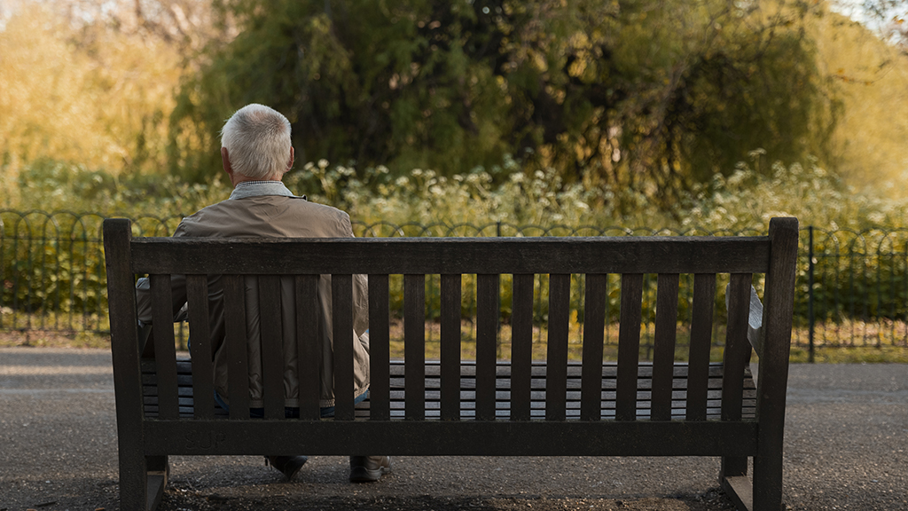 벤치에 앉아있는 노인의 뒷모습