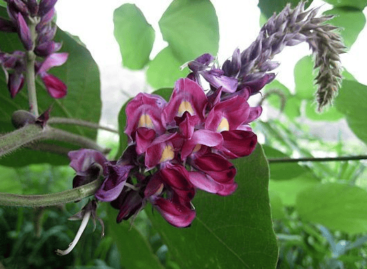 μΉ‘κ½λ΄μ€λ¦¬ μ¬μ§