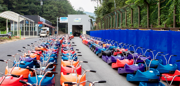 횡성 루지체험장