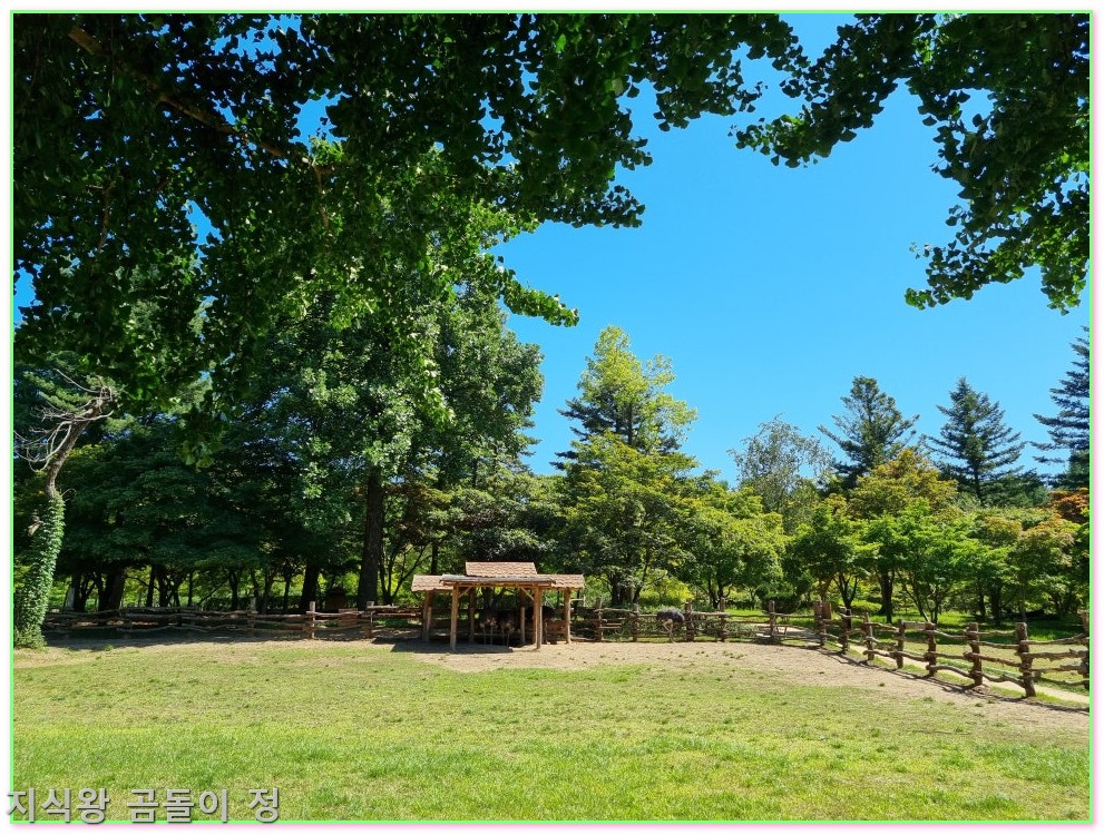 기평 남이섬 입장권 예약 입장료 할인 혜택과 배시간표까지 한눈에3
