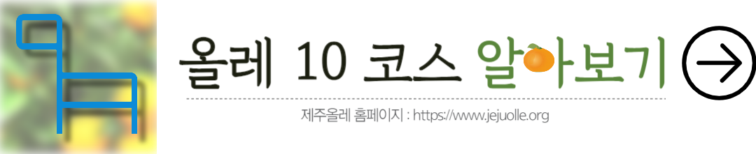 올레공식홈페이지