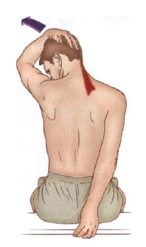 견갑거근 스트레칭