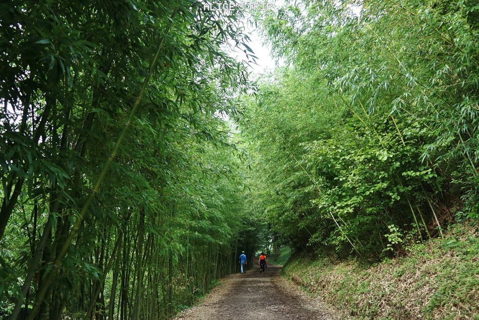 더운 여름 부산 시원한 곳 가볼만한곳 BEST 07 클럽디오아시스 35% 할인
