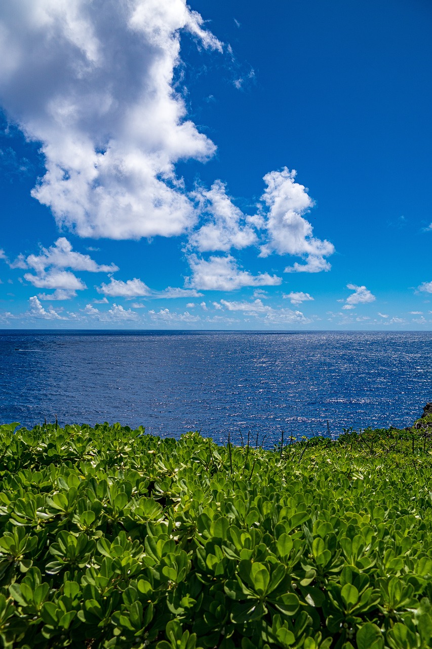 사이판 또는 괌 입국 준비 절차 완벽 가이드 (2024 최신 업데이트)