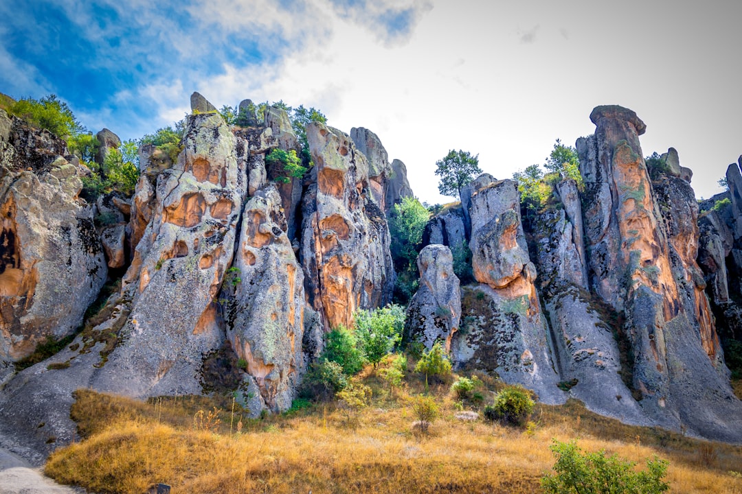 이재명·한동훈 테마주, 급등락의 비밀과 투자 전략 관련 이미지 1