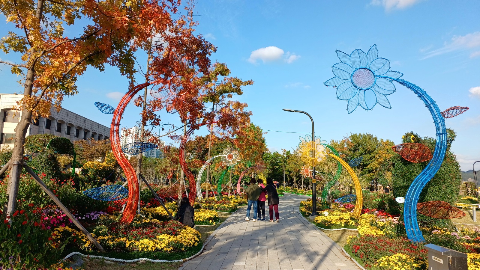 마산국화축제35