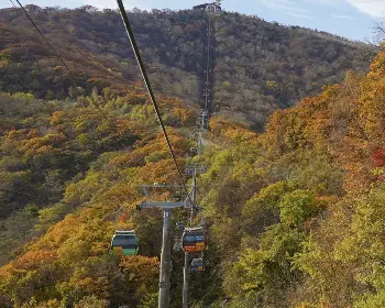 발왕산 케이블카_25