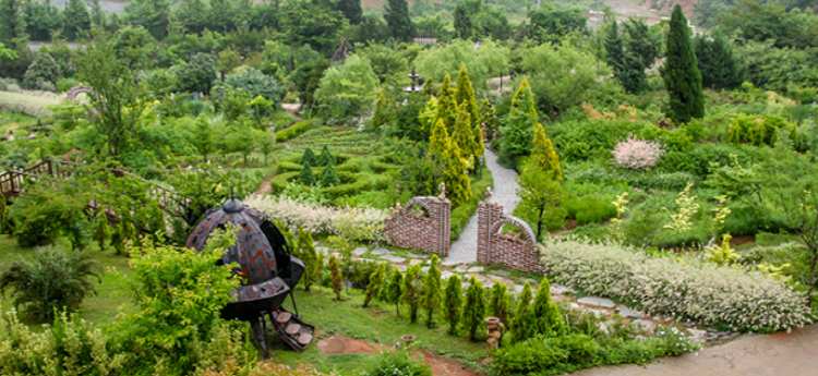 팜카밀레 허브농원