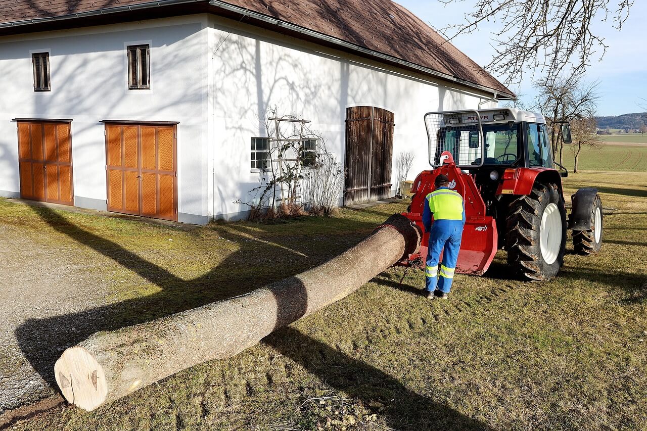 2025년 임업직불금 신청 가이드 필수 조건 신청 방법