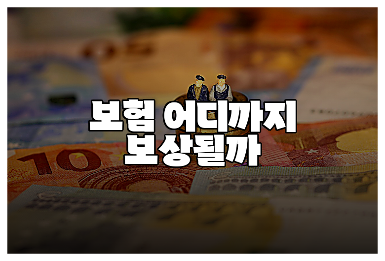 보험 어디까지 보상될까