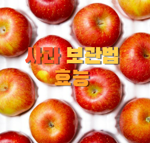 사과