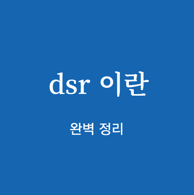 dsr 이란 개념 확인