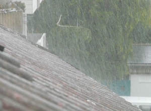 2024 장마 소식 받기 어플