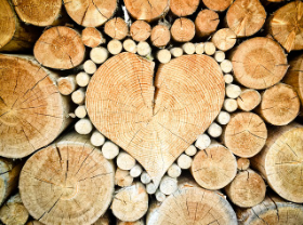 유성 행사 : 나무야 놀자 목재 체험행사