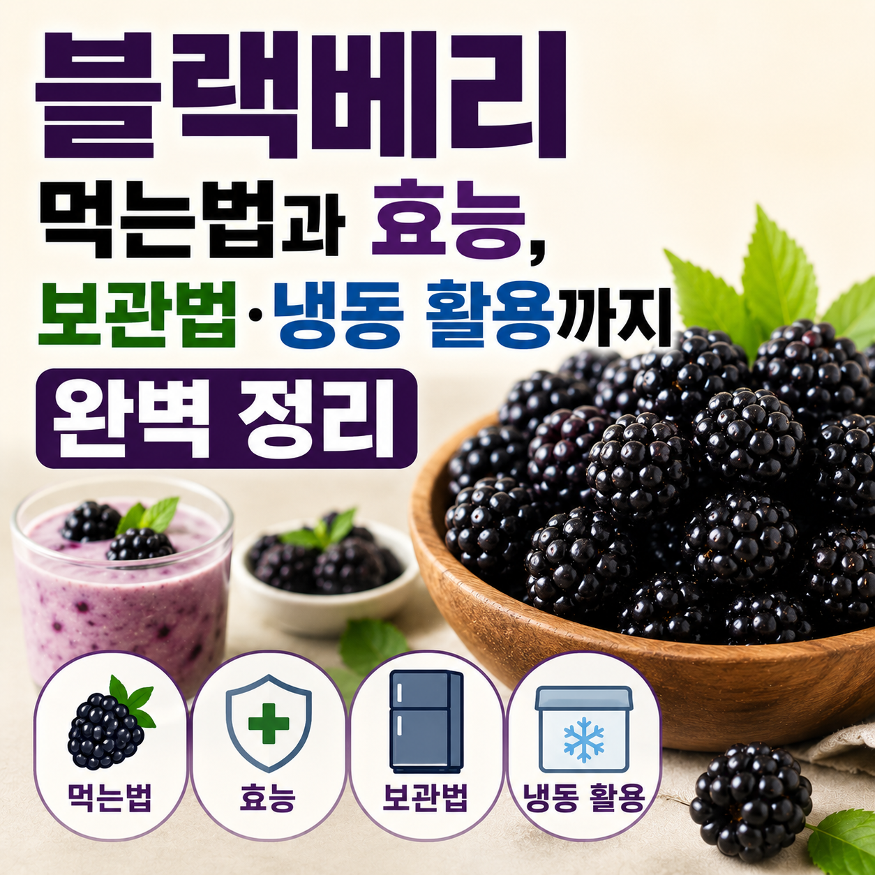 블랙베리 효능