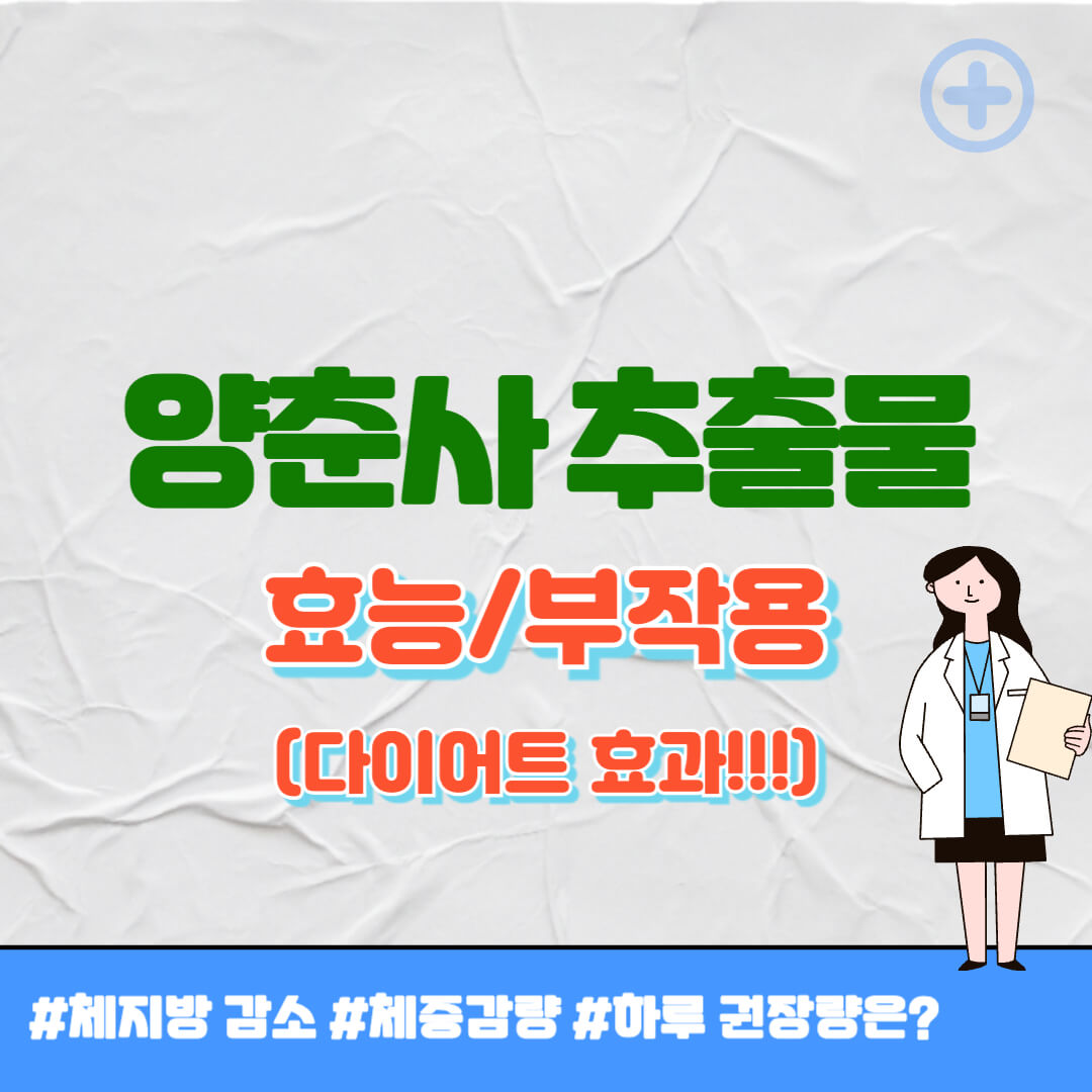 양춘사 추출물 효능 썸네일