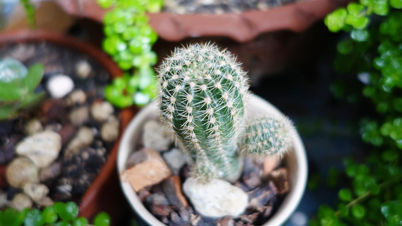 보증금 지키는 가장 확실한 방법-전세보증보험 알아보기