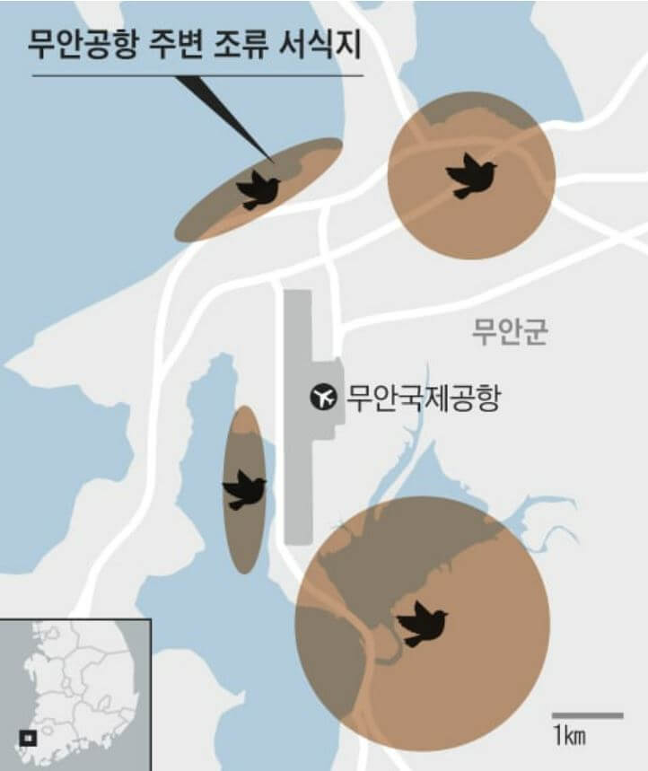 무한국제공항 주변 조류서식지 위치
