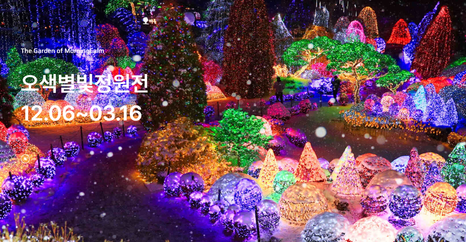 아침고요수목원 오색별빛정원 축제