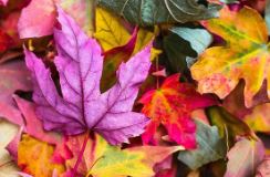 색상코드표 종류 rgb html 다운로드