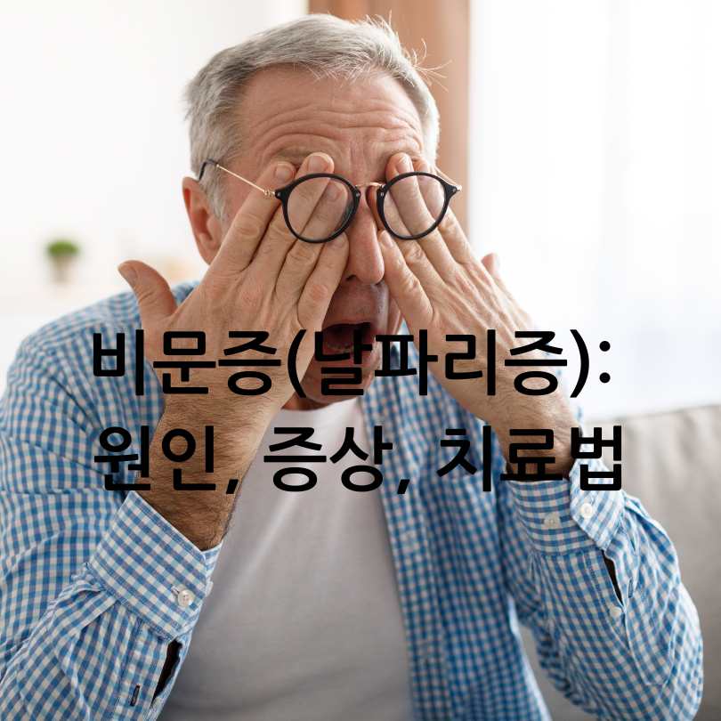 비문증(날파리증)