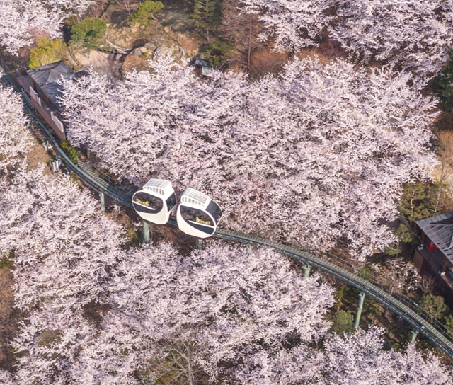 곤지암 화담숲 예약 입장료 등 2026년 오픈 총정리!