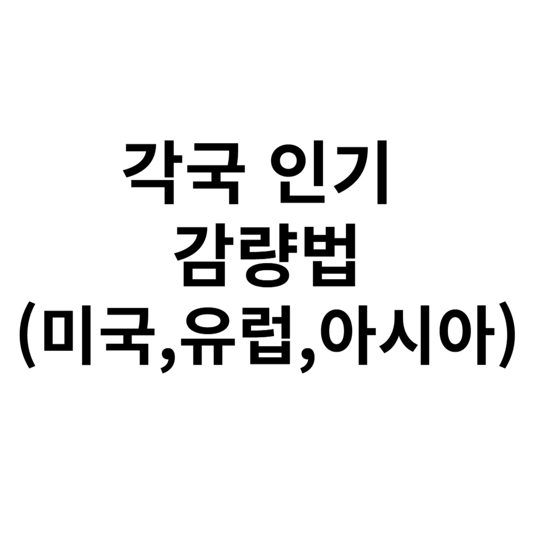 각국 인기 감량법(미국,유렵,아시아)