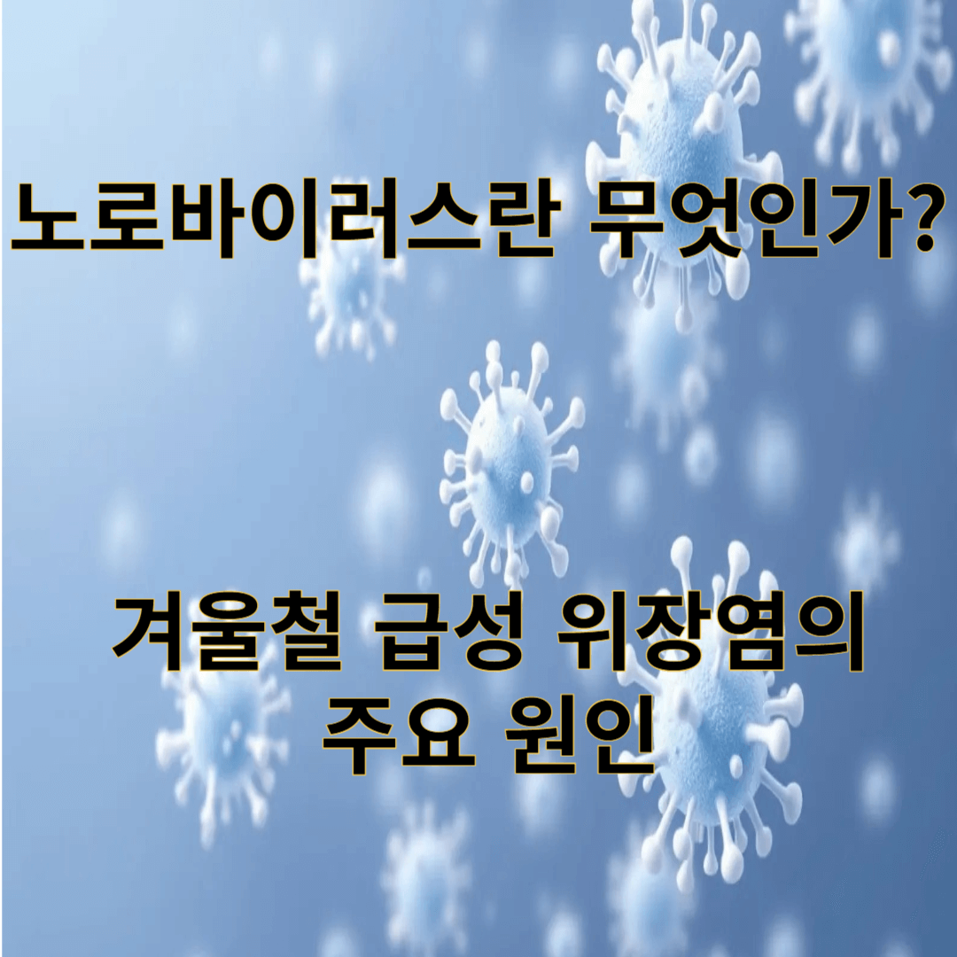 노로바이러스란 무엇인가 겨울철 급성 위장염의 주요 원인