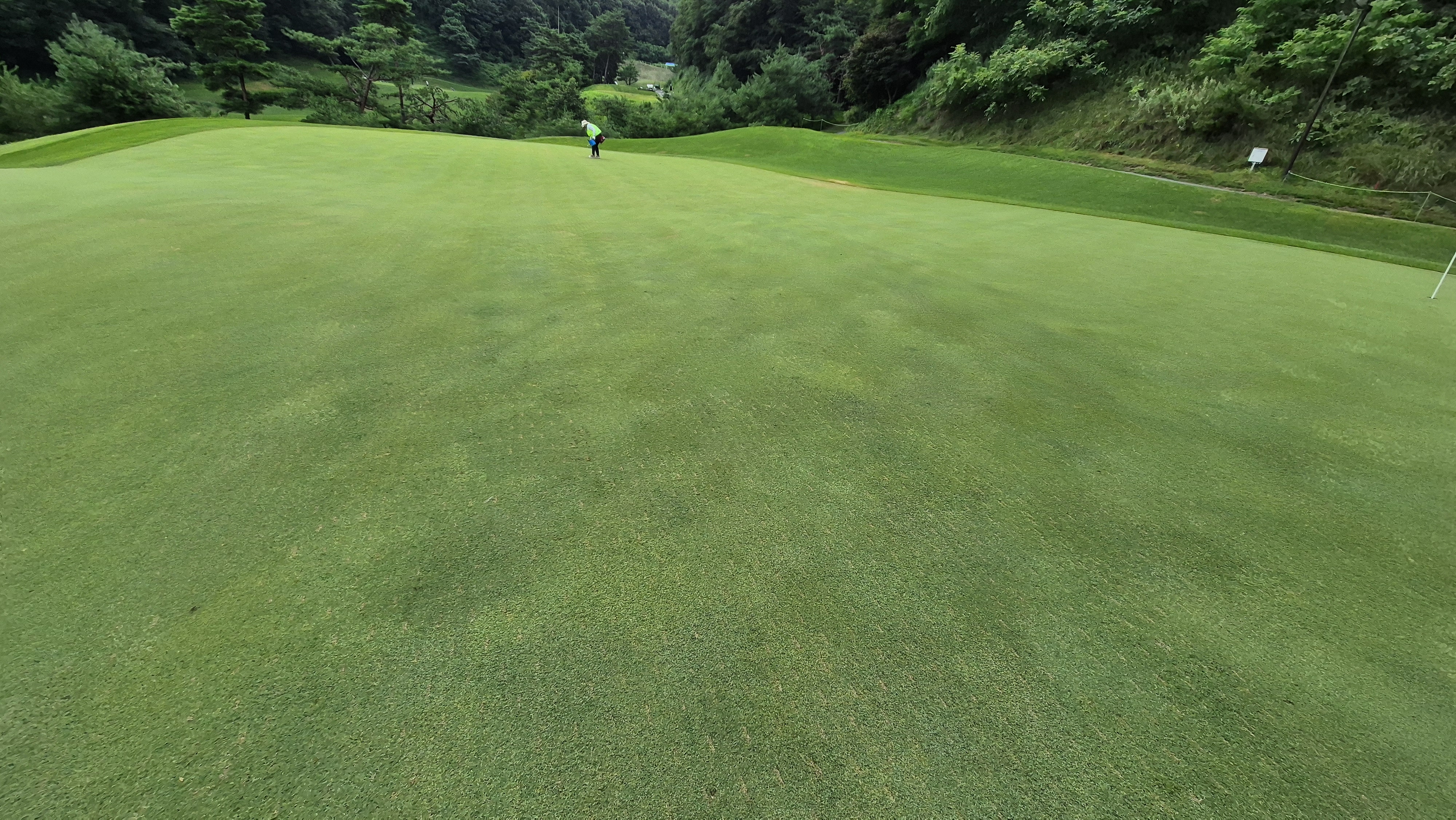 센테리움cc 스코틀랜드-웨일즈 코스 라운드 후기