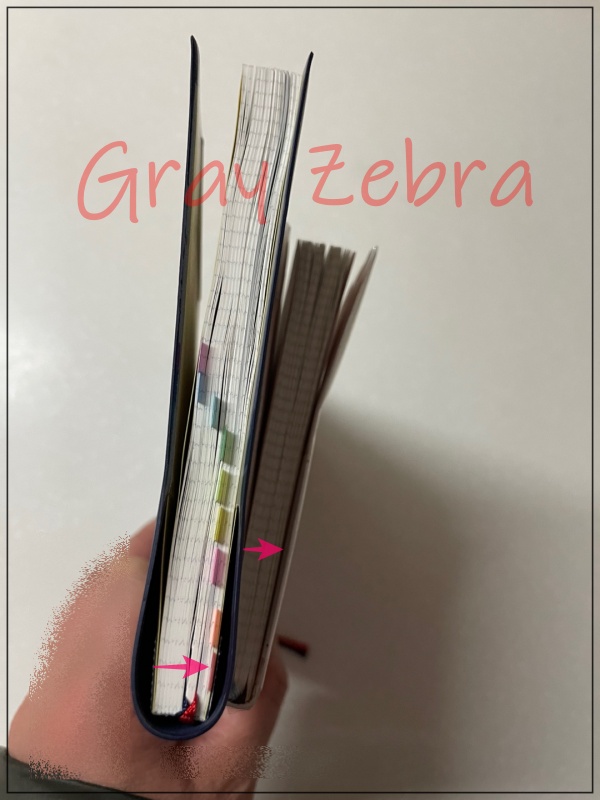 2022 다이어리 높이 비교