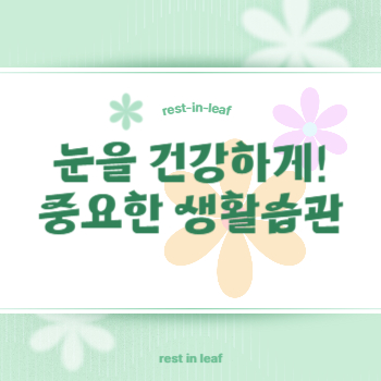 눈건강