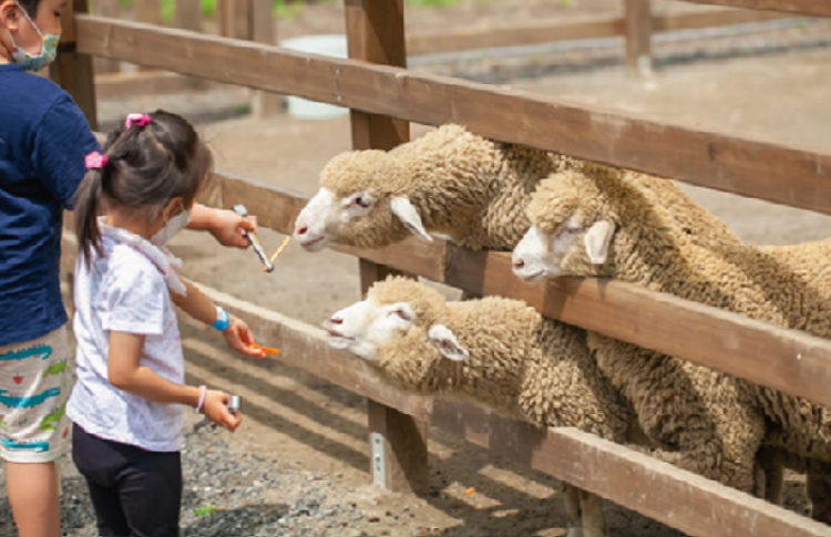 개화예술공원
