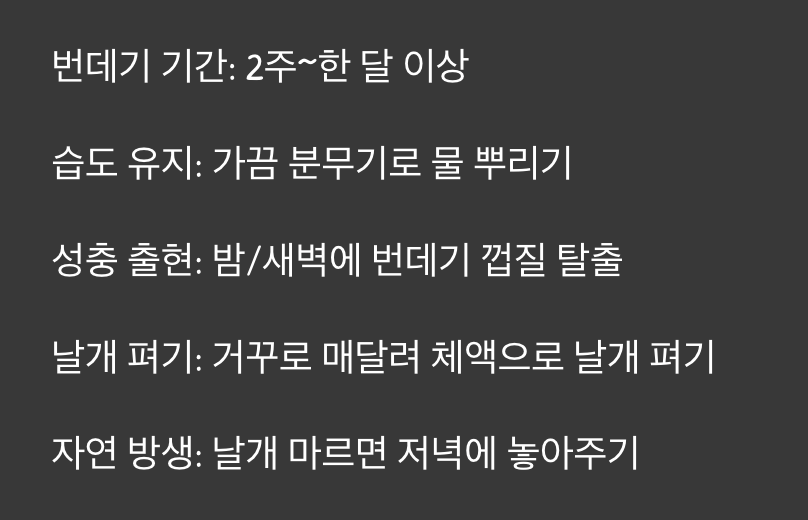 밤의 비행사&amp;#44; 첫 날갯짓을 위한 준비
