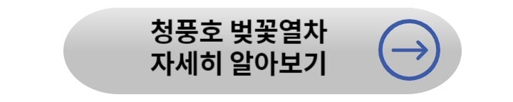 봄꽃 기차여행 (벚꽃기차)코스 및 금액 정리