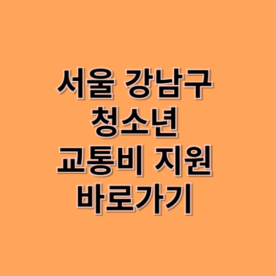 강남구 청소년 교통비 지원 온라인신청 지원금액