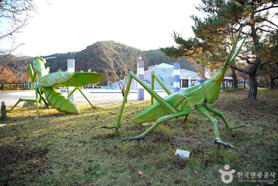 화천 가볼만한곳 베스트 10