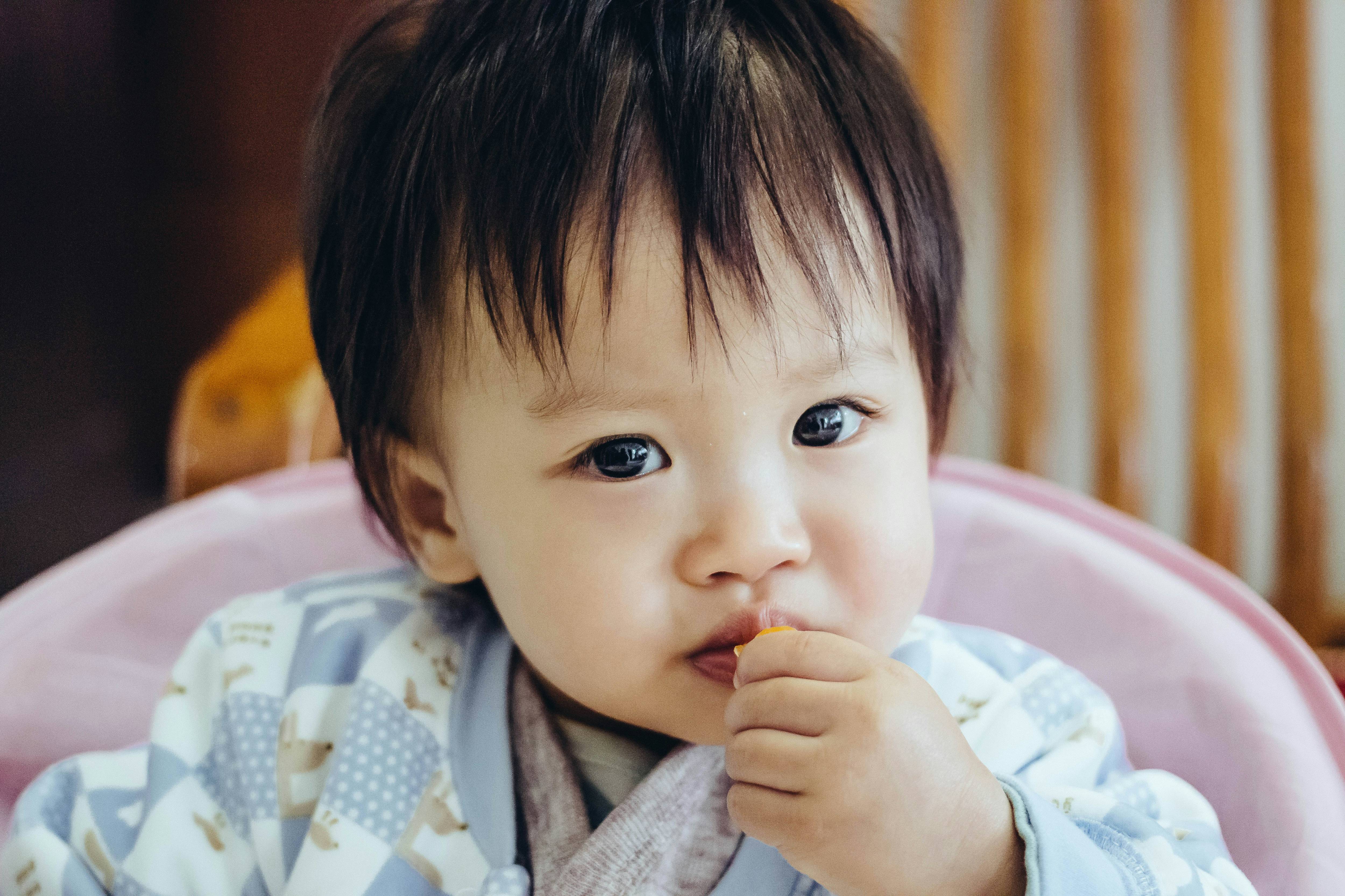 육아 예시 이미지들