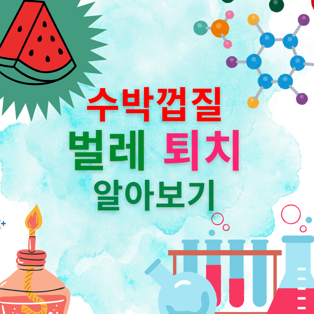 수박껍질 벌레 퇴치 알아보기