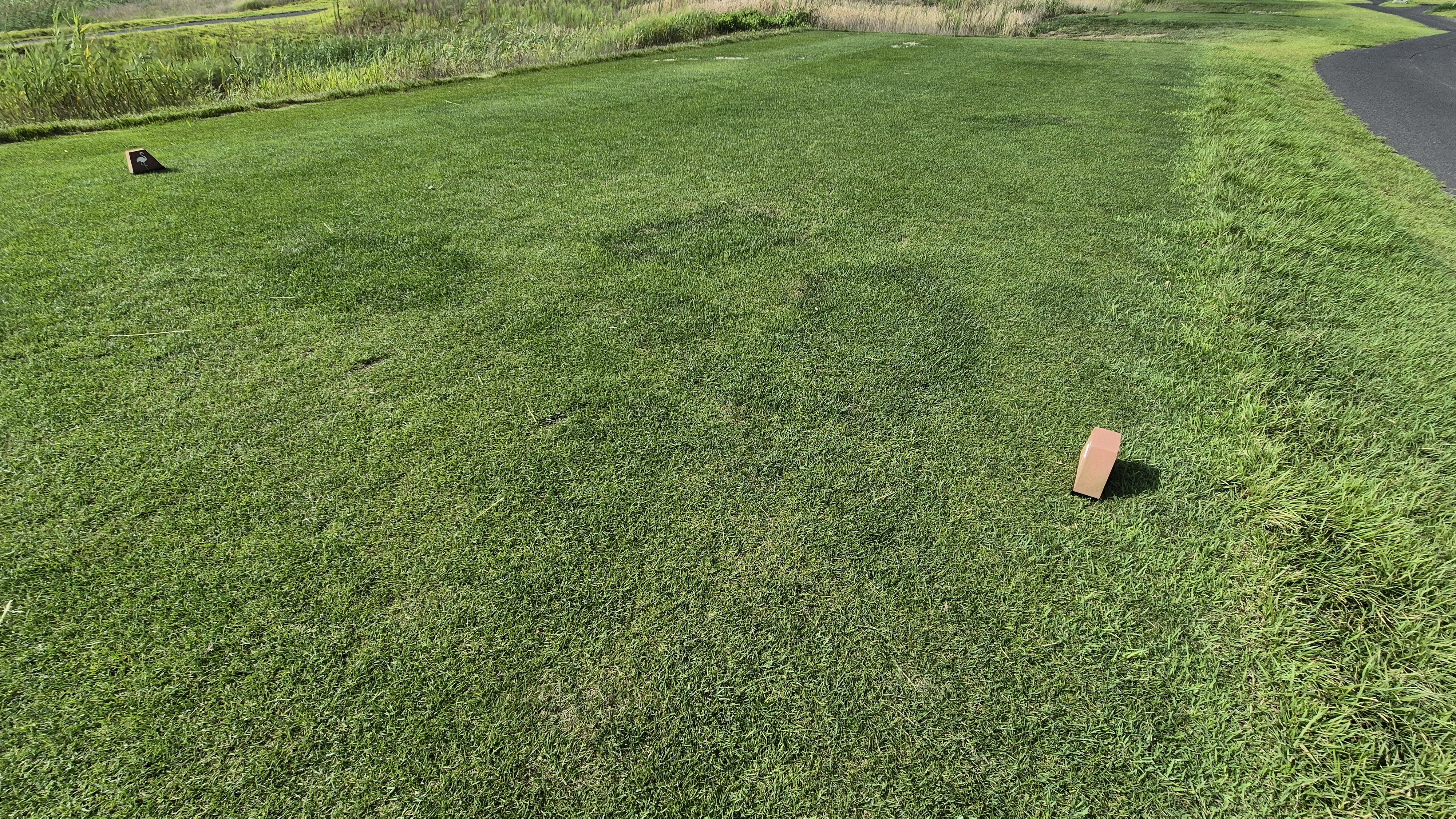 플라밍고cc 듄스-링크스 코스 라운드 후기