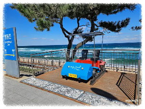 정동진 레일바이크