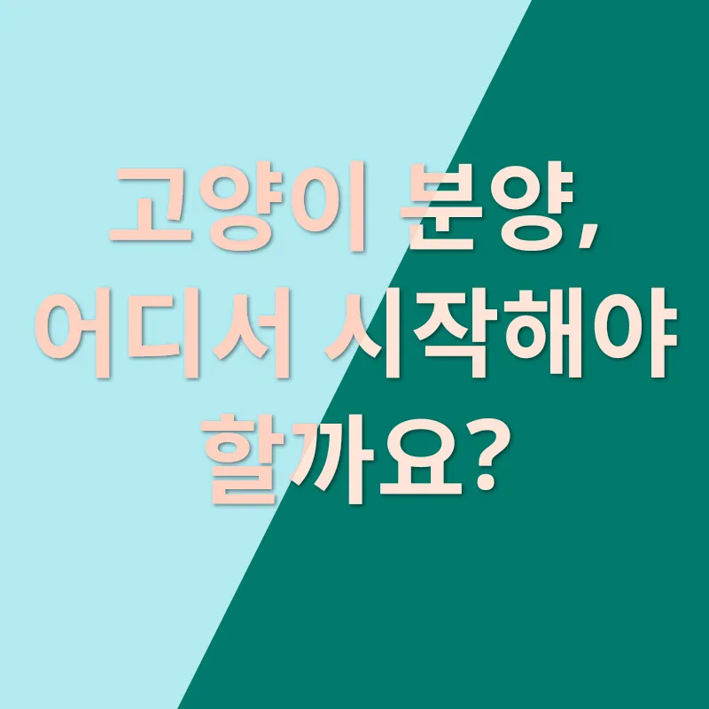 반려묘 입양기_1
