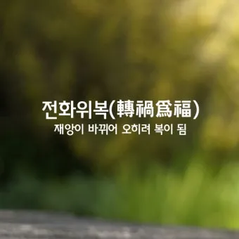 전화위복 뜻 유래 한자 비슷한 말 예문 영어 속담 반대말 정리_11