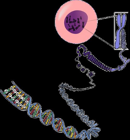 DNA 구조를 보여주는 그래픽 사진이다.